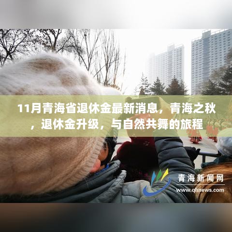 11月青海省退休金最新消息，青海之秋，退休金升级，共舞金秋的养老之旅