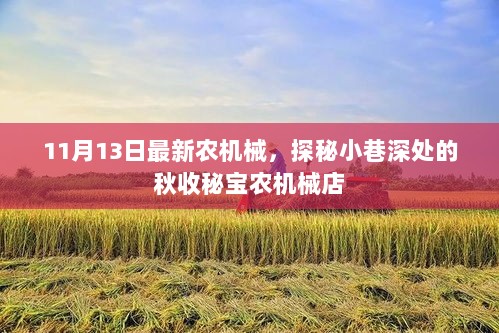 探秘小巷深处的秋收秘宝，11月13日最新农机械店