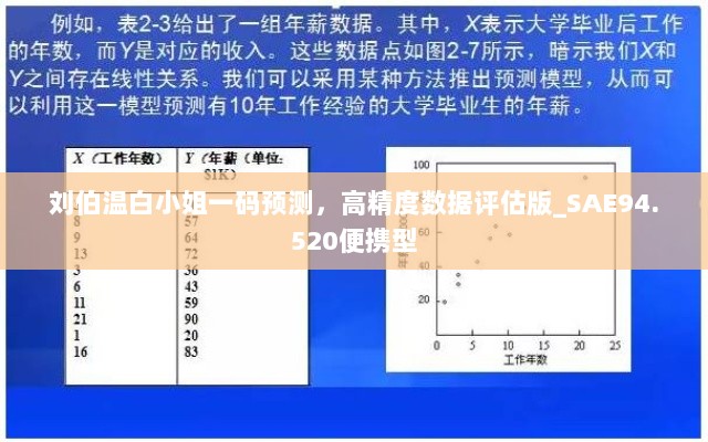 刘伯温白小姐一码预测，高精度数据评估版_SAE94.520便携型