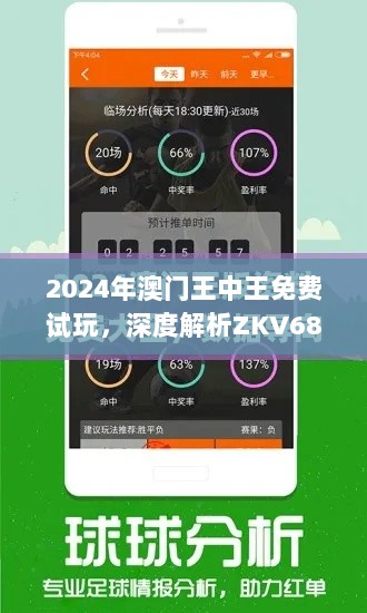 2024年澳门王中王免费试玩，深度解析ZKV68.110体验版