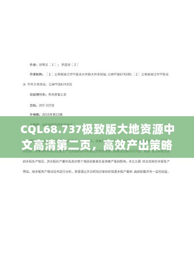 CQL68.737极致版大地资源中文高清第二页，高效产出策略指南