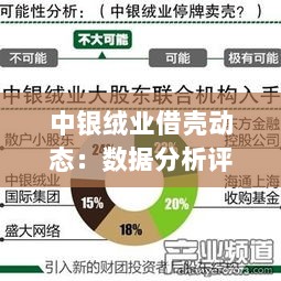 中银绒业借壳动态：数据分析评估报道新进展