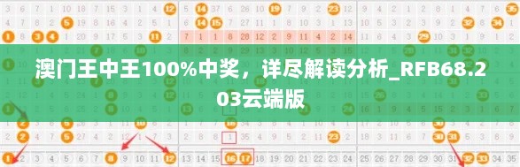 澳门王中王100%中奖，详尽解读分析_RFB68.203云端版