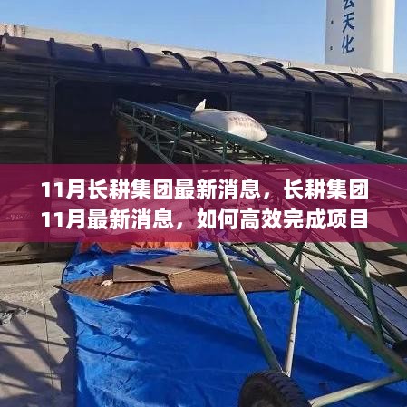 长耕集团11月高效学习项目管理与团队协作技能的策略与最新动态