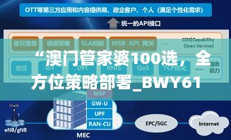 “澳门管家婆100选，全方位策略部署_BWY61.341安全版”