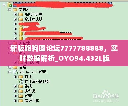 新版跑狗图论坛7777788888，实时数据解析_OYO94.432L版