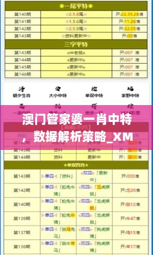 澳门管家婆一肖中特，数据解析策略_XMW77.322娱乐版