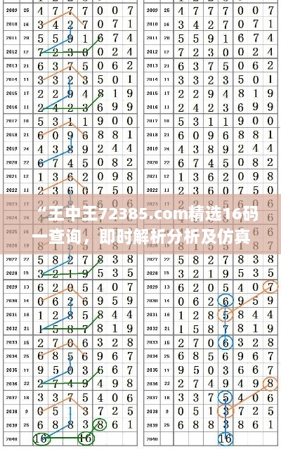 “王中王72385.com精选16码一查询，即时解析分析及仿真版KEI47.131”