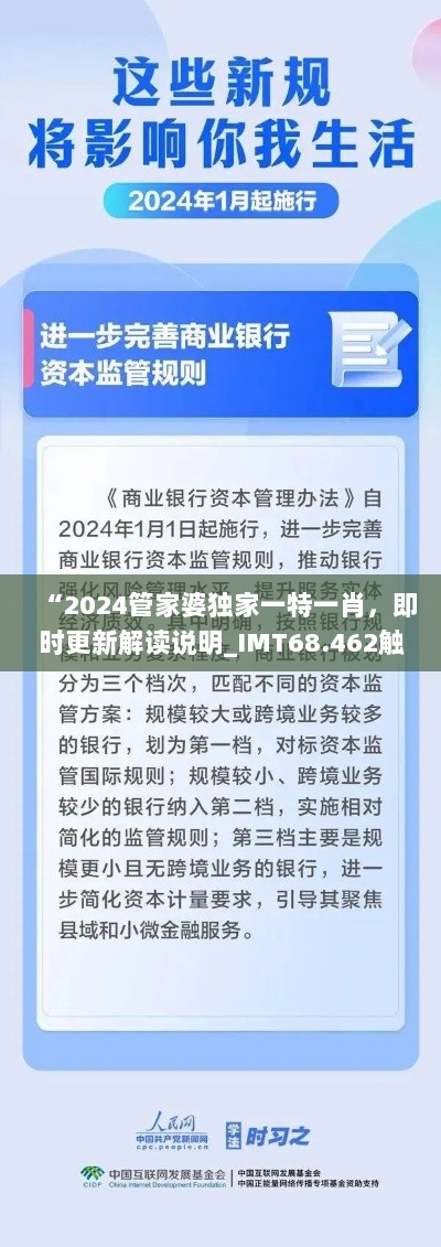 “2024管家婆独家一特一肖，即时更新解读说明_IMT68.462触控版”