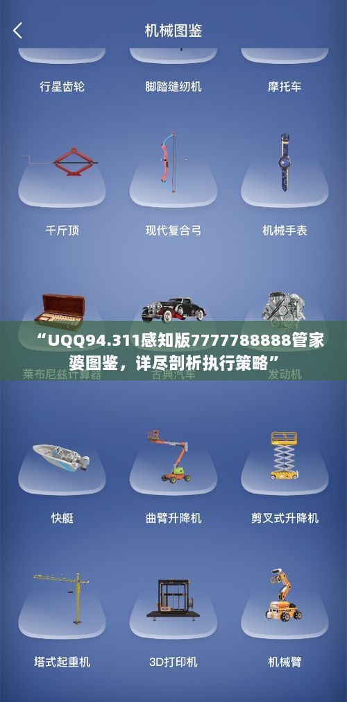 “UQQ94.311感知版7777788888管家婆图鉴，详尽剖析执行策略”