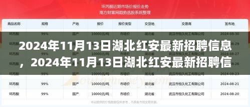 2024年11月13日湖北红安最新招聘信息全面解读