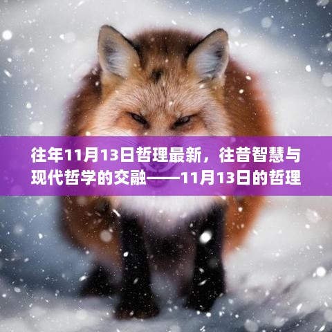 11月13日，智慧交融下的哲理新思与现代哲学的碰撞