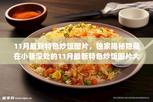 11月最新特色炒饭图片大赏，独家揭秘小巷深处的美食珍宝