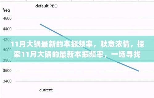 11月大锅的最新本振频率，秋日探索之旅，寻找宁静与美景的频率之旅