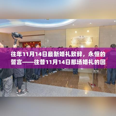 永恒的誓言，回顾往昔11月14日的婚礼