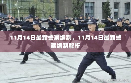 11月14日最新警察编制解析