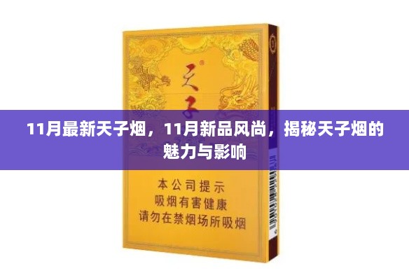 11月新品风尚，揭秘天子烟的魅力与影响力