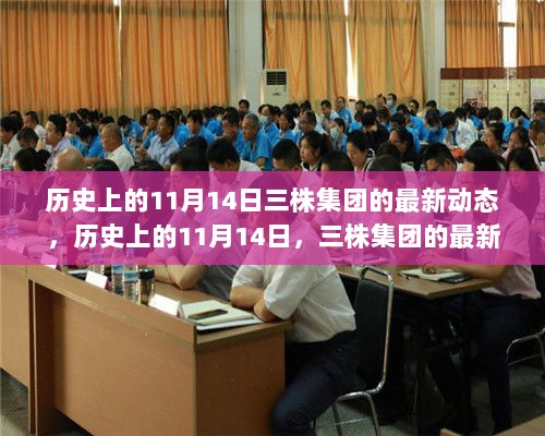 历史上的11月14日，三株集团的最新动态与市场观察回顾