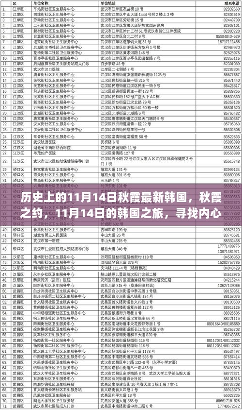 11月14日秋霞之约，寻找内心的平静与喜悦的韩国之旅