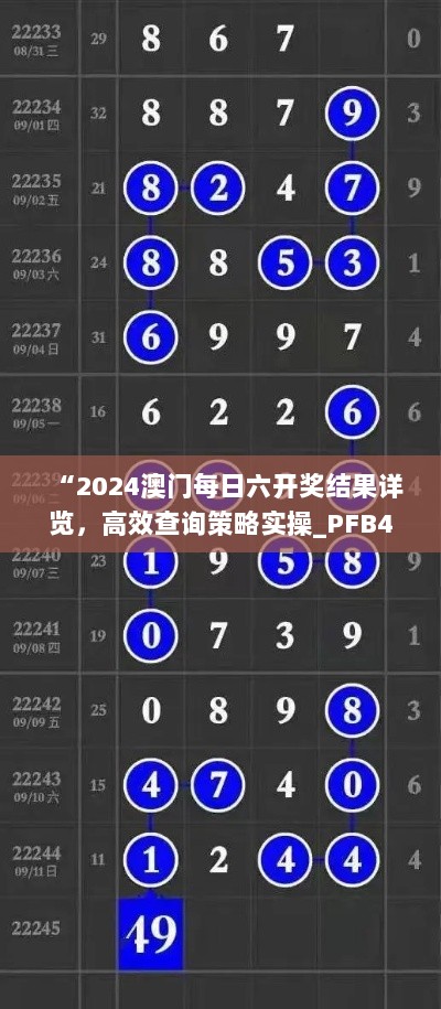 “2024澳门每日六开奖结果详览，高效查询策略实操_PFB46.149便携宝”