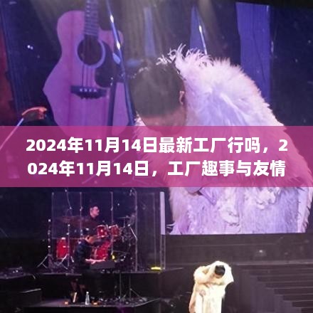 2024年11月14日工厂趣事与友情的温暖时光