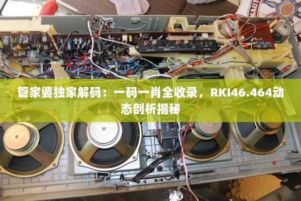 管家婆独家解码：一码一肖全收录，RKI46.464动态剖析揭秘