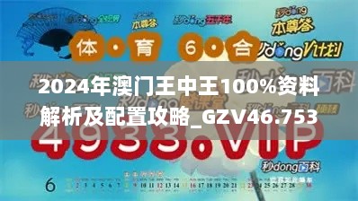 2024年澳门王中王100%资料解析及配置攻略_GZV46.753风尚版