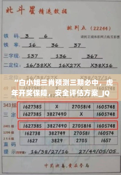 “白小姐三肖预测三期必中，虎年开奖保障，安全评估方案_JQW46.336声学版本”