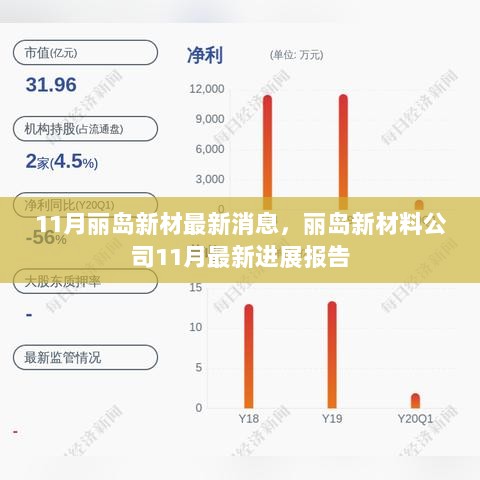 丽岛新材料公司11月最新进展报告，最新消息一览