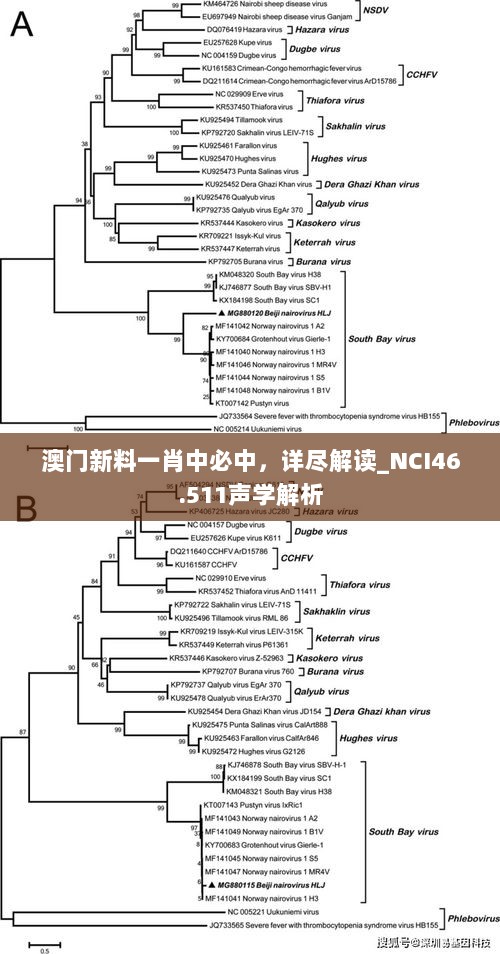 澳门新料一肖中必中，详尽解读_NCI46.511声学解析