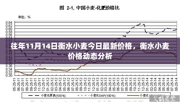 衡水小麦价格动态分析（往年11月14日最新价格）