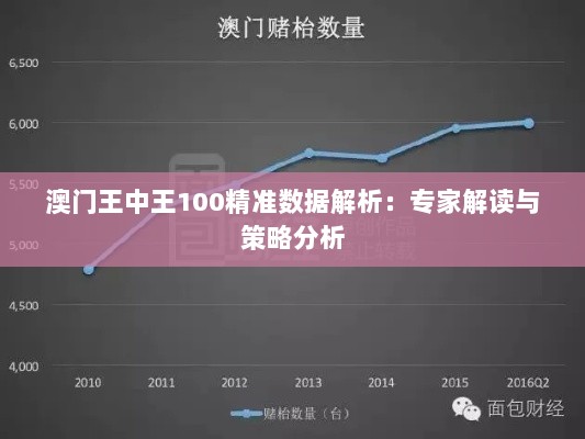 澳门王中王100精准数据解析：专家解读与策略分析