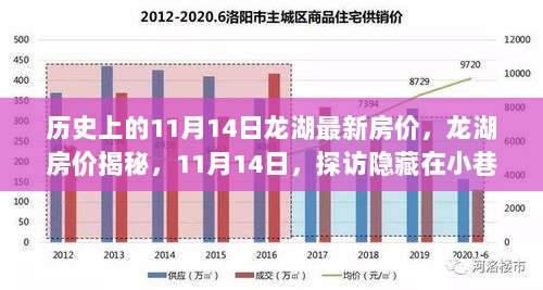 揭秘11月14日龙湖房价背后的故事，探访特色小店与隐藏的房价秘密