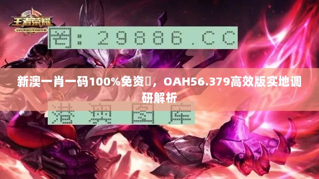 新澳一肖一码100%免资枓，OAH56.379高效版实地调研解析