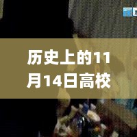 11月14日高校贷app之旅，探寻自然之美，寻找心灵的宁静