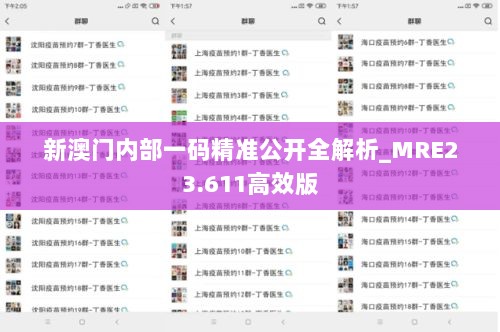 新澳门内部一码精准公开全解析_MRE23.611高效版