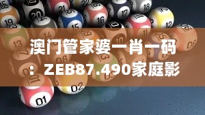 澳门管家婆一肖一码：ZEB87.490家庭影院版持续优化方案