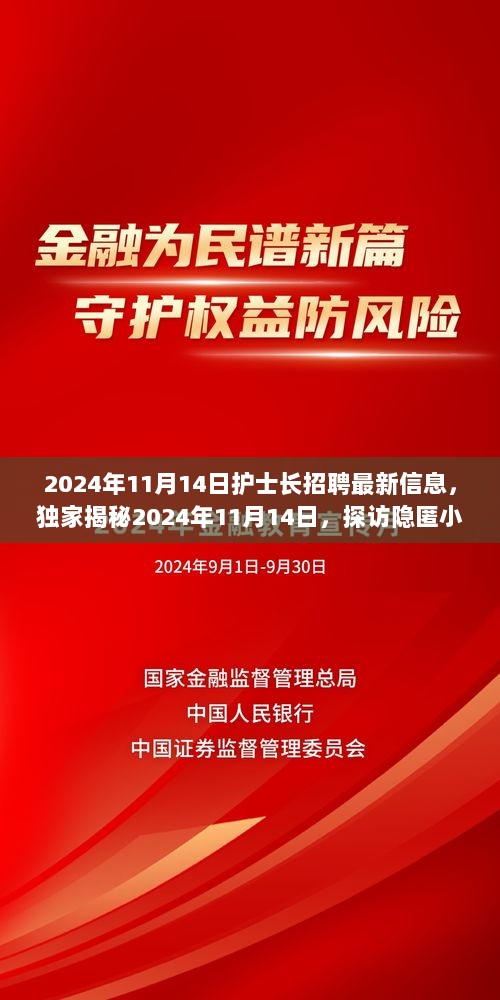 2024年11月14日隐匿小巷特色护士长招聘盛宴的独家揭秘信息