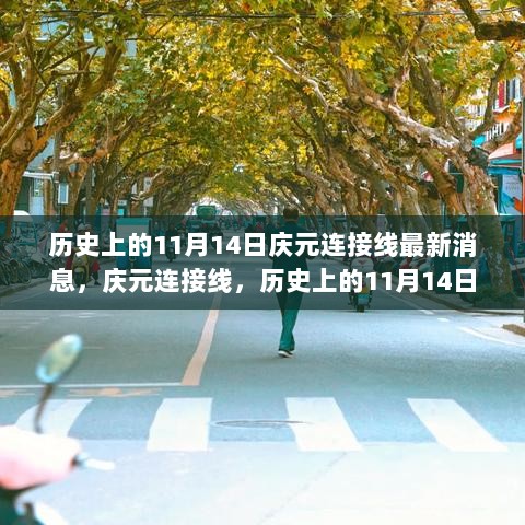 历史上的11月14日，庆元连接线与现代交通的交融新动态