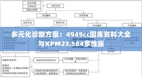 多元化诊断方案：4949cc图库资料大全与XPM23.584多维版