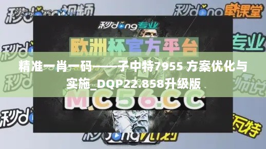 精准一肖一码——子中特7955 方案优化与实施_DQP22.858升级版