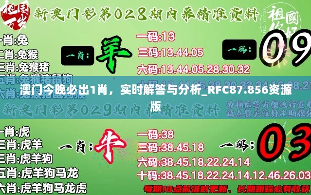 澳门今晚必出1肖，实时解答与分析_RFC87.856资源版