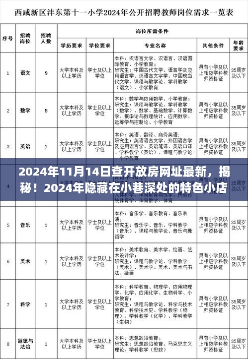 2024年隐藏小巷深处的特色小店，探秘最新开放房体验的秘密