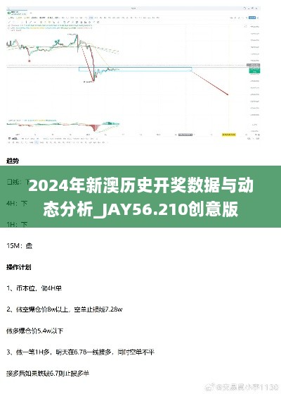 2024年新澳历史开奖数据与动态分析_JAY56.210创意版