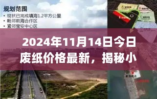 2024年11月14日废纸价格新动态，小巷深处的废纸艺术与宝藏揭秘