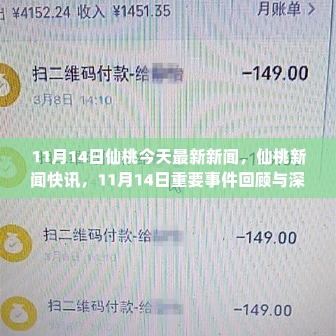 11月14日仙桃新闻快讯与深度解析，重要事件回顾与解析