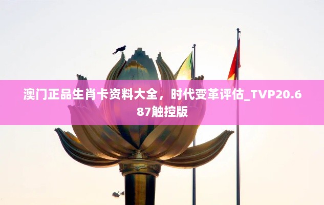 澳门正品生肖卡资料大全，时代变革评估_TVP20.687触控版