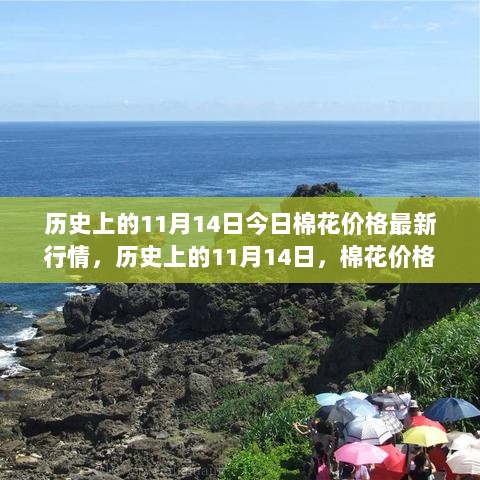 历史上的11月14日，棉花价格市场风云变幻的今日行情分析