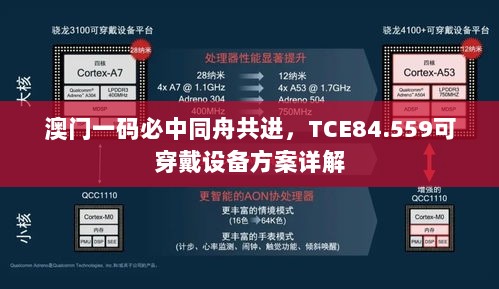 澳门一码必中同舟共进，TCE84.559可穿戴设备方案详解