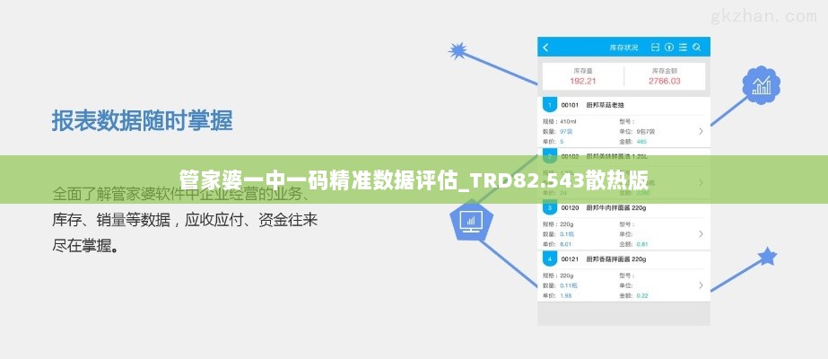 管家婆一中一码精准数据评估_TRD82.543散热版